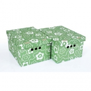 Набор картонных ящиков для хранения А4 зеленый мак 2шт 0611.15