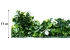 Декоративное зеленое покрытие Engard Фитостена 100х100 см (GCK-10)