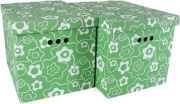 Набор картонных ящиков для хранения XL зеленый мак 2 шт 1217.15