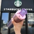 Термокружка хамелеон матовая Starbucks тамблер 473мл