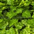 Декоративное зеленое покрытие "Яркая листва" 100х300 см (GC-09)