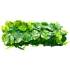 Декоративное зеленое покрытие "Молодая листва" 50х50 см (GCK-26)