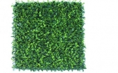 Декоративное зеленое покрытие Engard Самшит молодой 50х50 см (GCK-05)