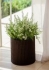 Горшок для цветов Cylinder Planter Small, коричневый