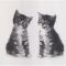 Шторка для ванної текстильна Spirella KITTY PAW