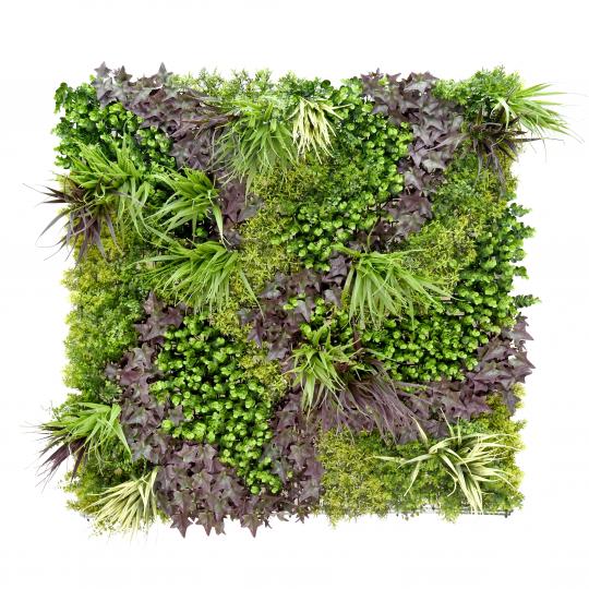 Декоративне зелене покриття «Monet Gardens» (Сади Моне) 100х100 см (GCK-25)