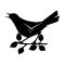 Настенные Часы Glozis Bird